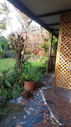 a patio with a potted plant and a tree at Cabañas Maria Hau in Hanga Roa