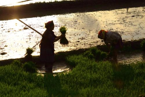 two people standing next to a river holding plants at Mu Cang Chai Eco Lodge in Nam San
