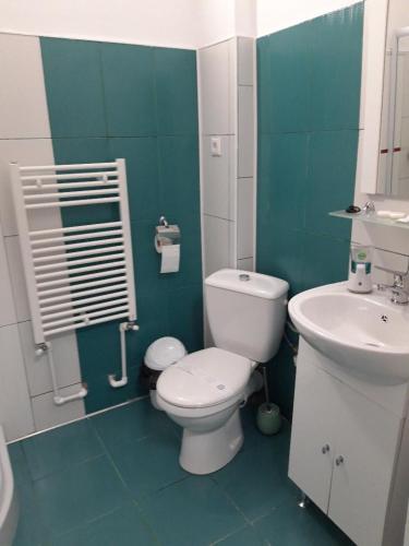 a bathroom with a toilet and a sink at Sara House in Bistriţa