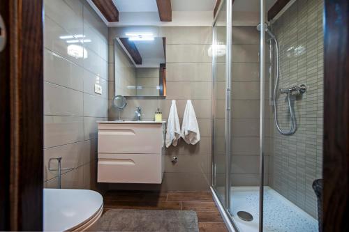 a bathroom with a shower and a toilet and a sink at Villa Nea Seaview 3-apartments! in Rovinj