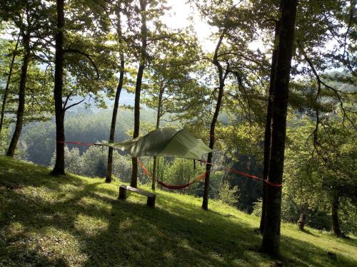 a tent in the middle of a forest with trees at D'tente sky lodge in Massat