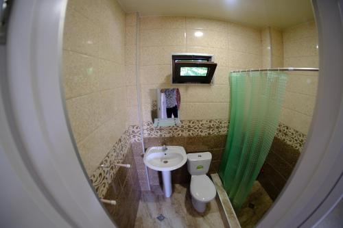 ein Bad mit einem Waschbecken, einer Dusche und einem WC in der Unterkunft Apartment Edemi in Kobuleti