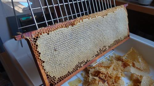 a container of beehives sitting on top of a table at La Miellerie in Huppaye