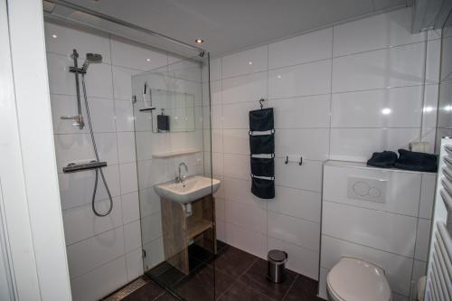 een badkamer met een douche, een wastafel en een toilet bij B&B Aangenaam - Olde Horst Diever in Diever