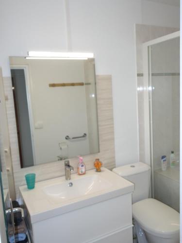 une salle de bain avec un lavabo, des toilettes et un miroir dans l'établissement 2 Pieces proche Beauval et Châteaux, à Montrichard