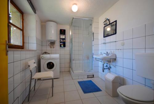 een badkamer met een wastafel en een wasmachine bij Nature house Jasenka in Nova Vas