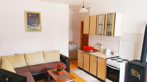 pequeña sala de estar con sofá y cocina en Apartmani Lakicevic, en Žabljak