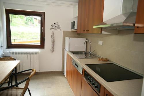 uma pequena cozinha com um lavatório e uma janela em Apartma Opalika em Cerkno