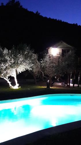Palazzo Conforti Tree House Resortの敷地内または近くにあるプール