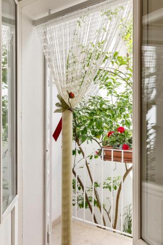 a room with a window with a plant at Il Cedrangolo House in Monopoli