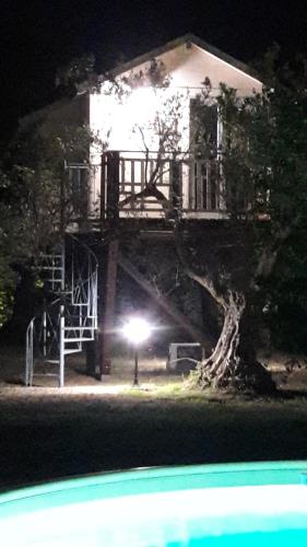 Palazzo Conforti Tree House Resortの敷地内または近くにあるプール