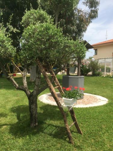 a tree with a white pot on top of it at Villa Margherita in Montaquila