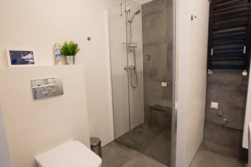 a shower with a glass door in a bathroom at Apartament MORSKI WIDOK GARDENIA Dziwnów in Dziwnów