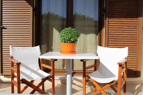 Antelia Homes