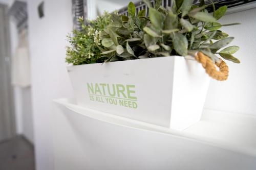 a white container with a plant on a wall at Apartament Asia in Nysa