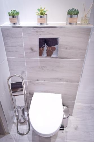 a bathroom with a white toilet and a shelf with plants at Apartament Asia in Nysa