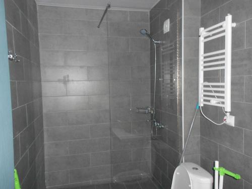 a bathroom with a shower and a toilet at Apart Hotel ART 206 in Bakuriani