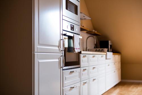 Kuchyň nebo kuchyňský kout v ubytování Mikulov Apartmány MAGISTR