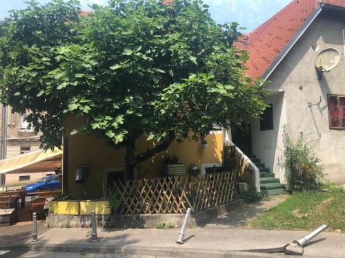 uma árvore em frente a uma casa com uma cerca em Apartment Tkalča em Zagreb