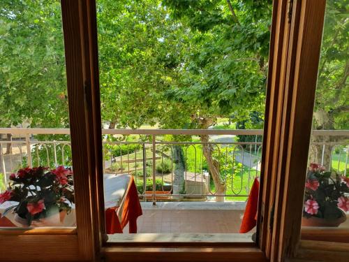 A garden outside Hotel Cormorano