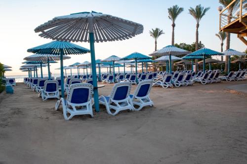 Fotografie z fotogalerie ubytování MinaMark Beach Resort for Families and Couples Only v destinaci Hurghada