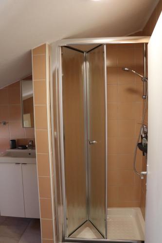 a shower with a glass door in a bathroom at Villa Kiki in Rovinj