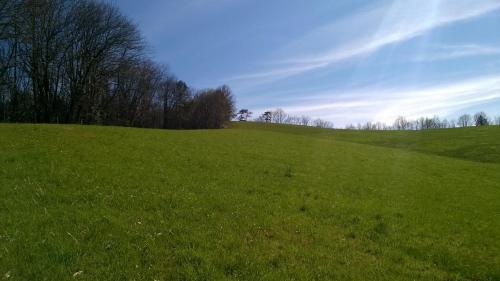 a green field with trees on top of it at La Stanza Verde in Rossiglione