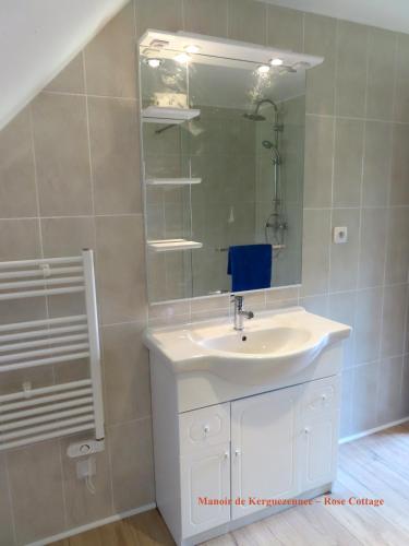 une salle de bain avec un lavabo blanc et un miroir dans l'établissement Rose cottage, à Pontrieux