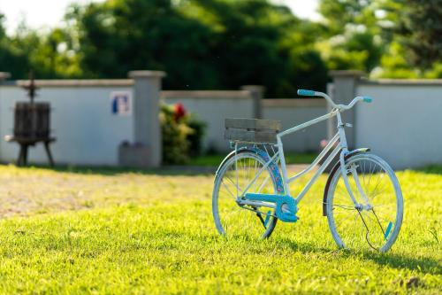 a blue bike parked in the grass in a field at Danubio Residence in Aljmaš