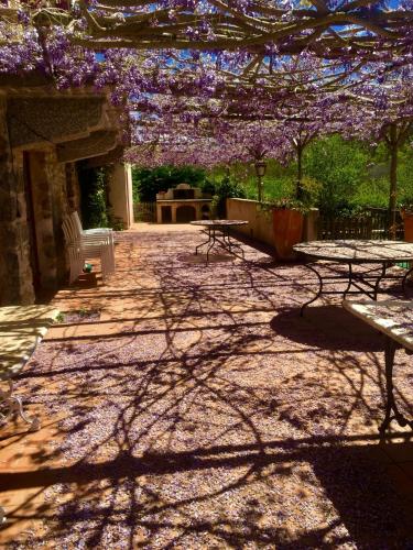 a patio with picnic tables and purple flowering trees at Mas Lo Faix in Saint-Laurent-de-Cerdans