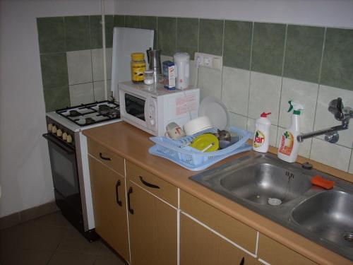 a kitchen counter with a sink and a microwave at Fanni Vendégház in Miskolctapolca