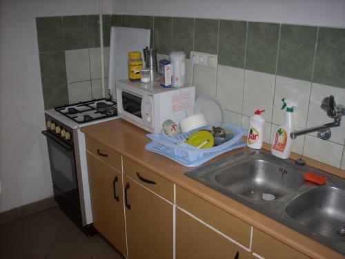 Fanni Vendégház في ميسكولكتابولكا: طاولة مطبخ مع حوض وميكروويف