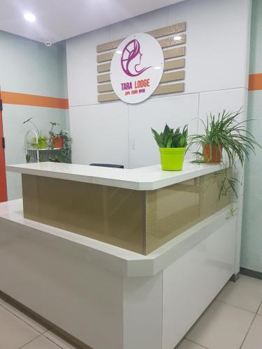 a counter in a room with plants on it at Tara Lodge in Ulaanbaatar