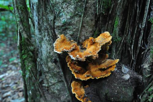 Imagem da galeria de Pousada do Parque em Chapada dos Guimarães
