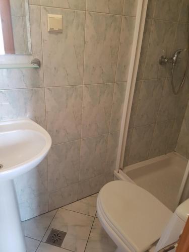 a bathroom with a shower and a toilet and a sink at Willa Irys in Bukowina Tatrzańska