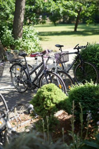 two bikes parked next to a bench in a park at Skalva Nida in Nida