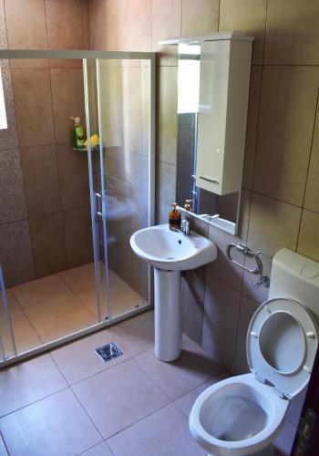 a bathroom with a shower and a toilet and a sink at Apartments Montenegro Risan Čučković in Risan