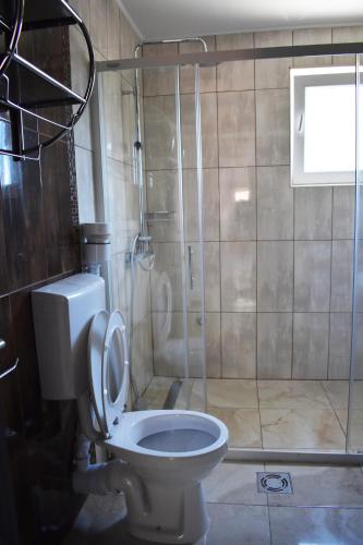 a bathroom with a toilet and a shower at Apartments Montenegro Risan Čučković in Risan
