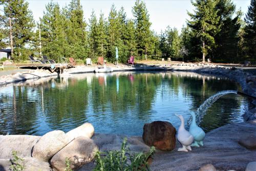 two birds sitting on rocks in a pond at Woodhouse Cottages And Ranch in Prince George