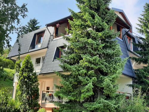 a house with a tree in front of it at Guesthouse Hill in Sarajevo