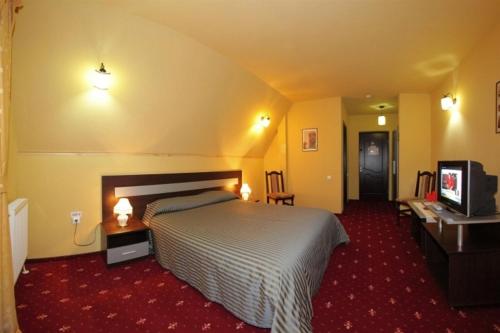 a hotel room with a bed and a television at Pensiunea Oficial in Prejmer