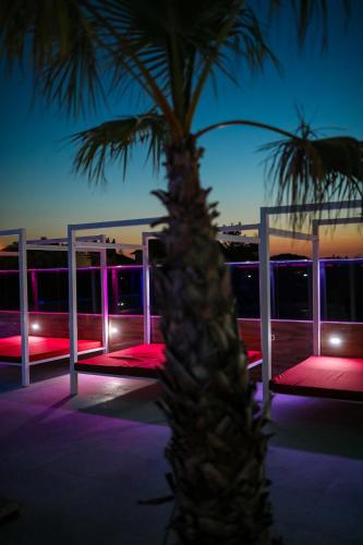 a palm tree in front of a building with red lights at Boutique Apartments Blitz in Bibinje