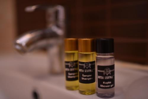 two bottles of hair products sitting on a bathroom sink at Hotel Beograd in Čačak