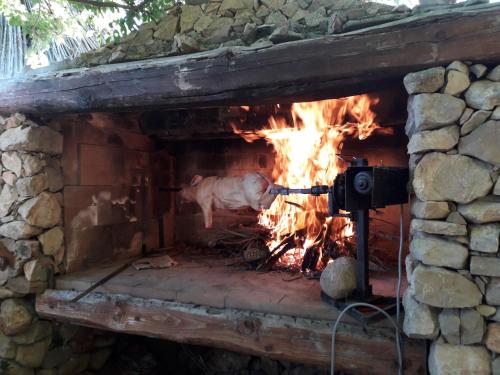 a pig standing in front of a fireplace at B&B Domo De Pedra in Tottubella