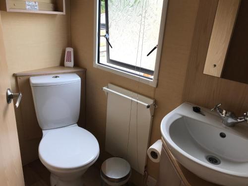 a small bathroom with a toilet and a sink at Pet friendly riverside static caravan in Cheddar