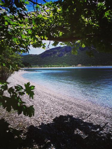 a view of a body of water through a tree at Blumenhaus (Spiti Louloudia) in Paralía Sergoúlas