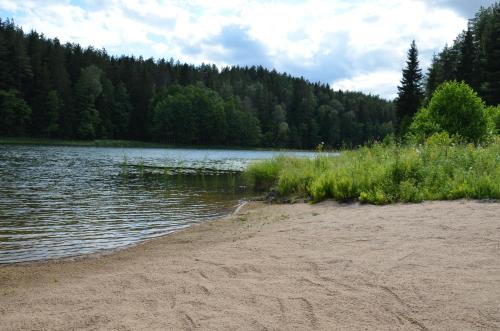 Gallery image of Ignalina Lux Villa in Ignalina