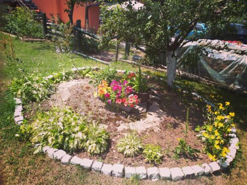 a garden with flowers in the middle of a yard at Konak Pahulja TARA in Bajina Bašta