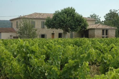 a vineyard with a house in the background at Domaine de Sévanes in Saint-Paul-les-Fonts