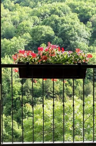 a pot of flowers sitting on top of a balcony at Les Forques de'n Pep in Toses